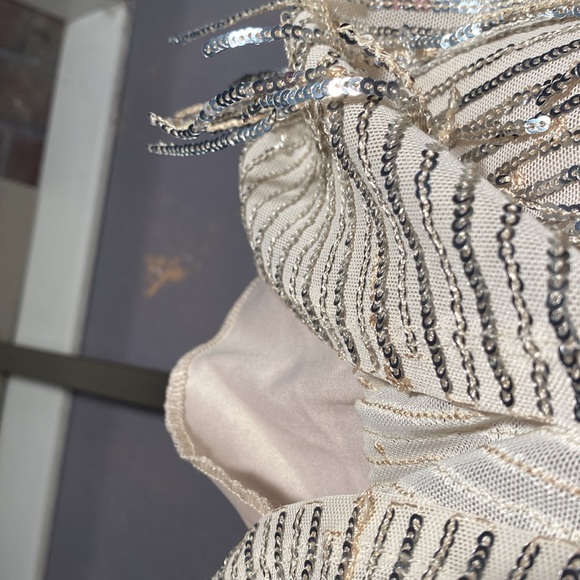 ALTAR’D STATE - dress: silver mesh w allover sequin fringe, lined w zipper - XL - Picture 11 of 16